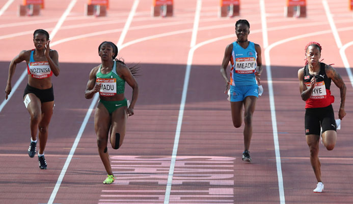 Photo: Allan V. Crane;  Photo: Allan V. Crane;